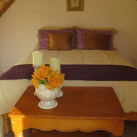 Hotel Cielito Mexicano à San Francisco del Rincón Extérieur photo